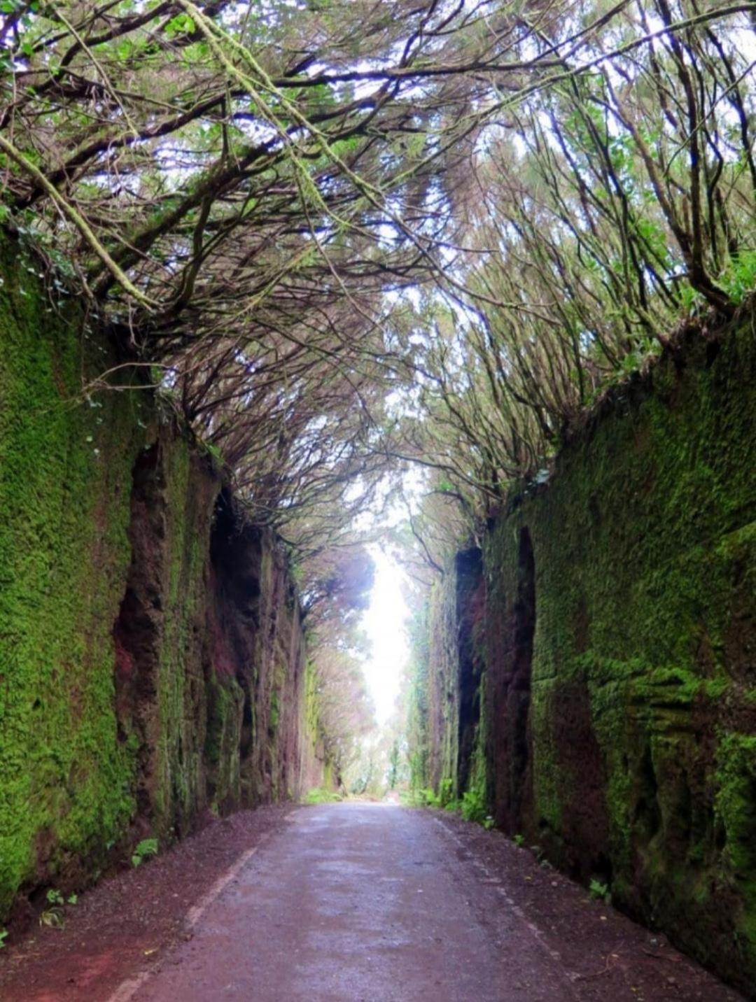Armonia Park, Tenerife Bajamar  Bagian luar foto